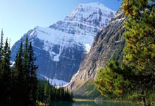 2018年世界杯日本队的战绩如何？他们的表现有哪些亮点与遗憾？